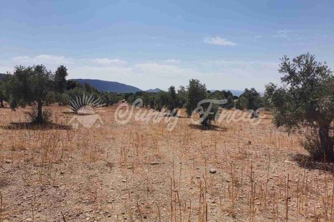 Helårsgrund i Biar, Alicante, Biar - € 27.500 | Ref: SF0511 - foto 8